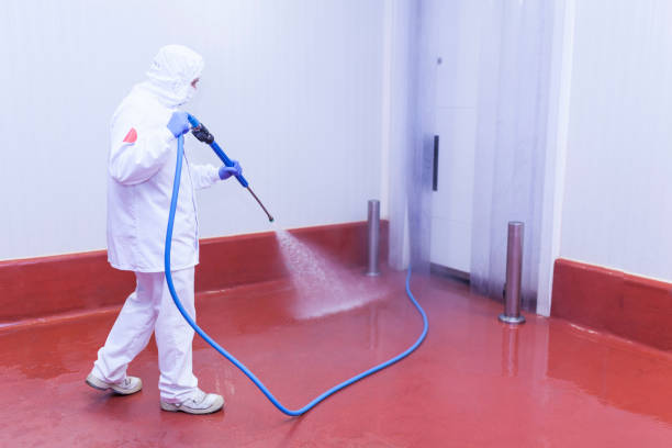 Best Oil Spill Cleanup  in Campti, LA